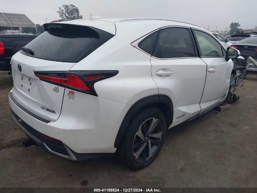 2019 Lexus Nx 300H VIN: JTJBJRBZ2K2105844 Lot: 41199524