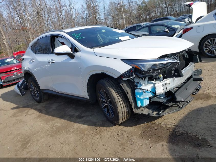 2024 Lexus Nx 250 VIN: 2T2ADCAZ1RC006170 Lot: 41201600