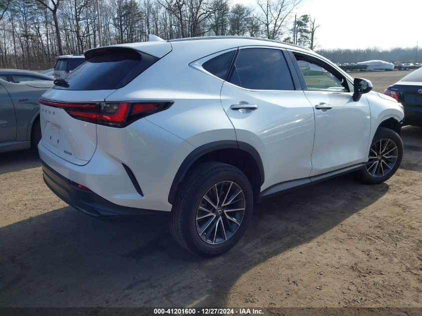 2024 Lexus Nx 250 VIN: 2T2ADCAZ1RC006170 Lot: 41201600