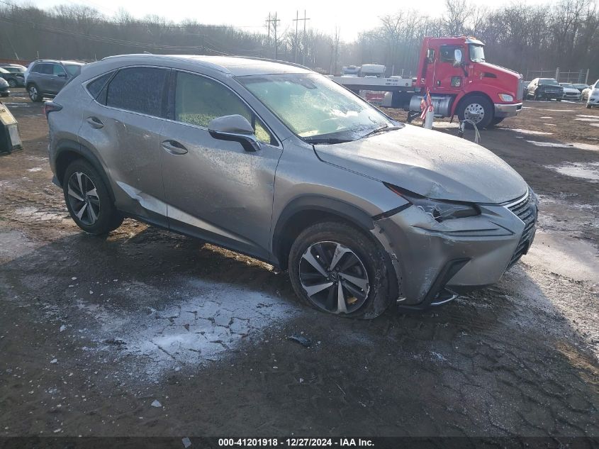 2019 Lexus Nx 300 VIN: JTJBARBZ7K2189353 Lot: 41201918