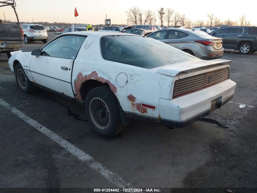 1984 Pontiac Firebird Trans Am VIN: 1G2AW87H4EN205896 Lot: 41204442