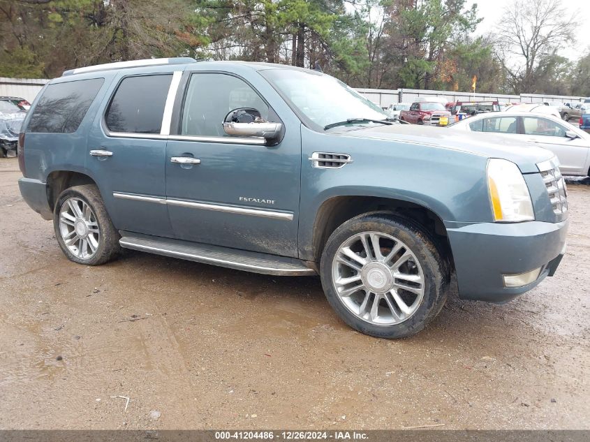 2008 Cadillac Escalade Standard VIN: 1GYEC63838R167052 Lot: 41204486