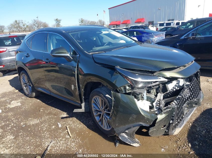 2022 Lexus Nx Premium VIN: JTJGGCEZ0N2001029 Lot: 41205502