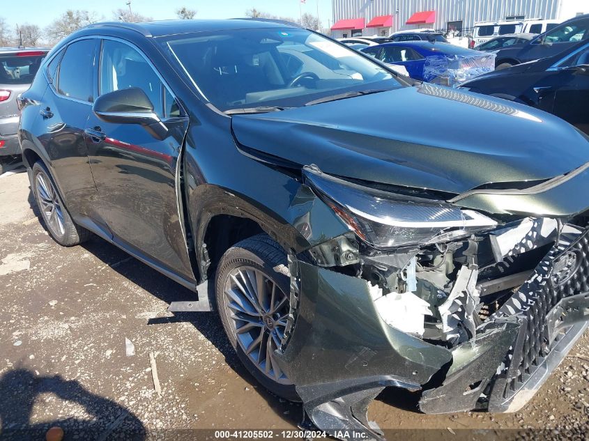 2022 Lexus Nx Premium VIN: JTJGGCEZ0N2001029 Lot: 41205502