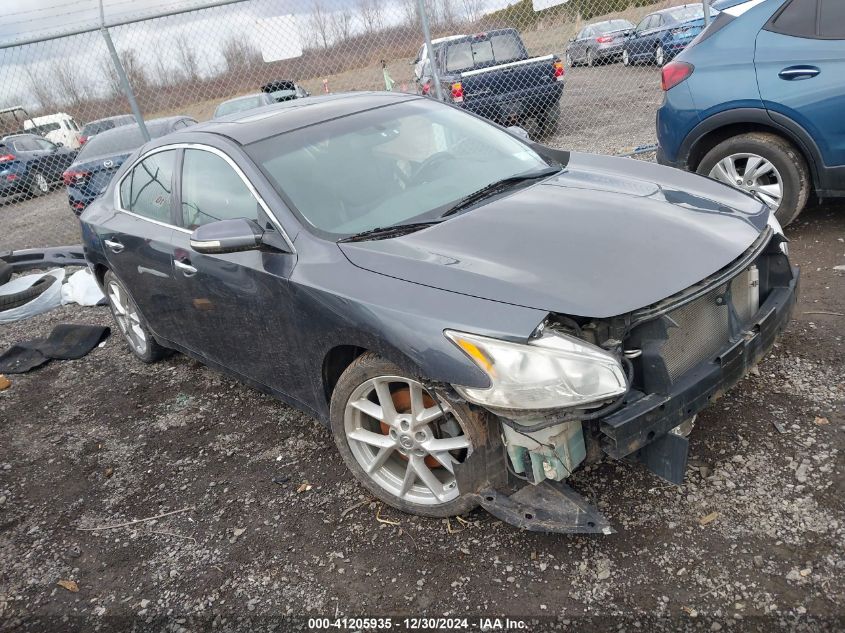 2010 Nissan Maxima 3.5 Sv VIN: 1N4AA5AP8AC862768 Lot: 41205935