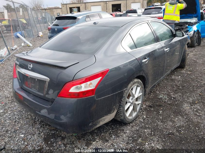 2010 Nissan Maxima 3.5 Sv VIN: 1N4AA5AP8AC862768 Lot: 41205935