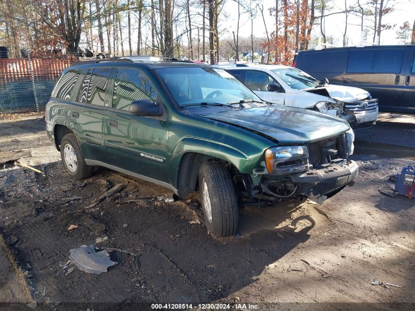 2002 Chevrolet Trailblazer VIN: 1GNDS13S122393858 Lot: 41208514