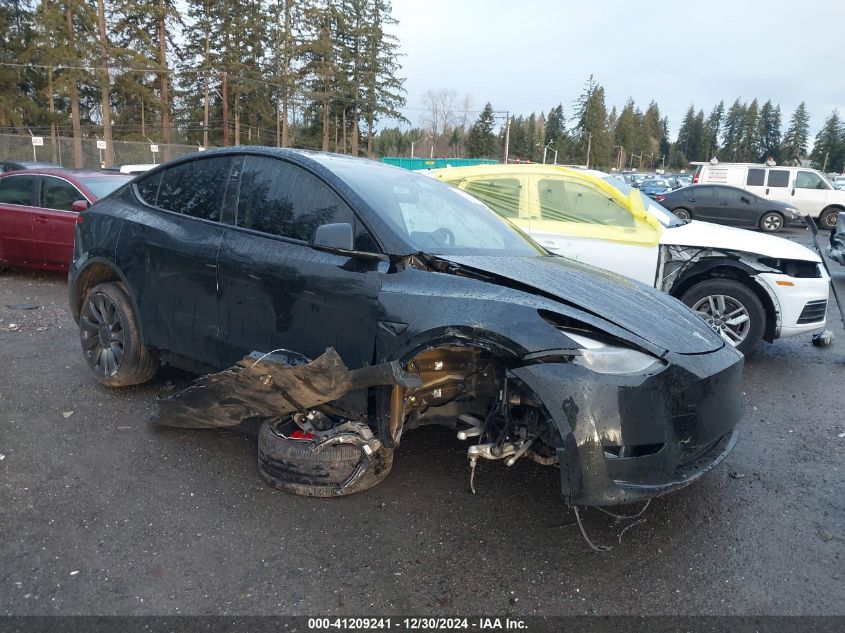 2024 Tesla Model Y VIN: 7SAYGDEF2RF109984 Lot: 41209241