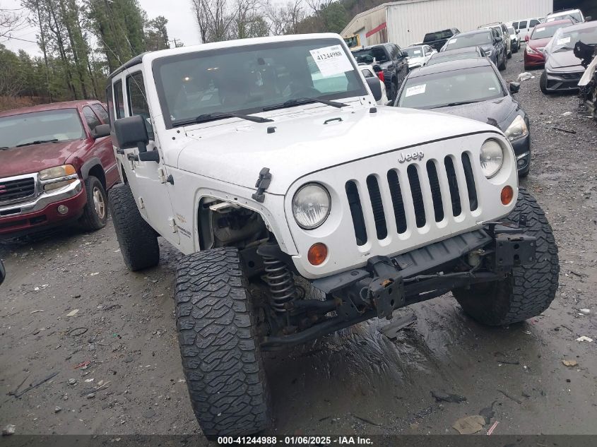 2013 Jeep Wrangler Unlimited Sahara VIN: 1C4BJWEG3DL597406 Lot: 41244988