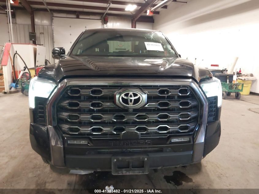 2022 Toyota Tundra Platinum VIN: 5TFNA5EC0NX009752 Lot: 41383482