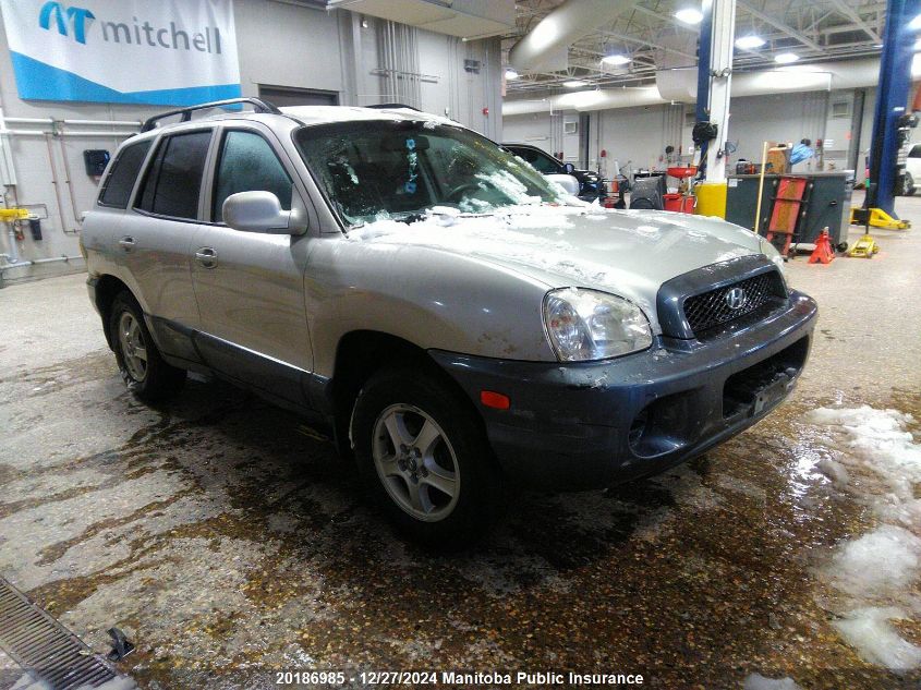 2004 Hyundai Santa Fe Gl VIN: KM8SB73D74U591867 Lot: 20186985