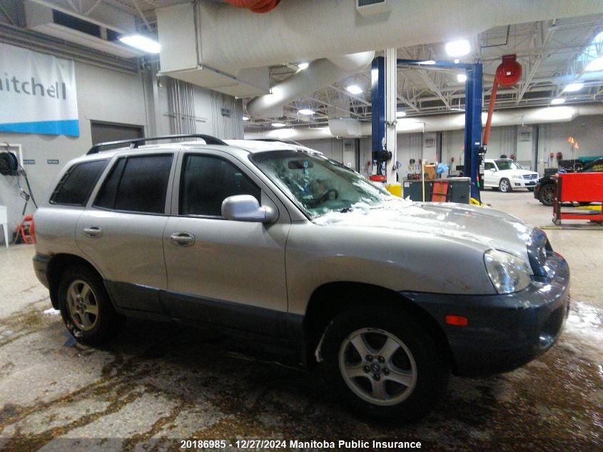 2004 Hyundai Santa Fe Gl VIN: KM8SB73D74U591867 Lot: 20186985