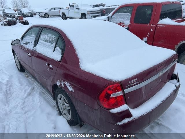 2006 Chevrolet Malibu Ls VIN: 1G1ZS51F26F294534 Lot: 20191692