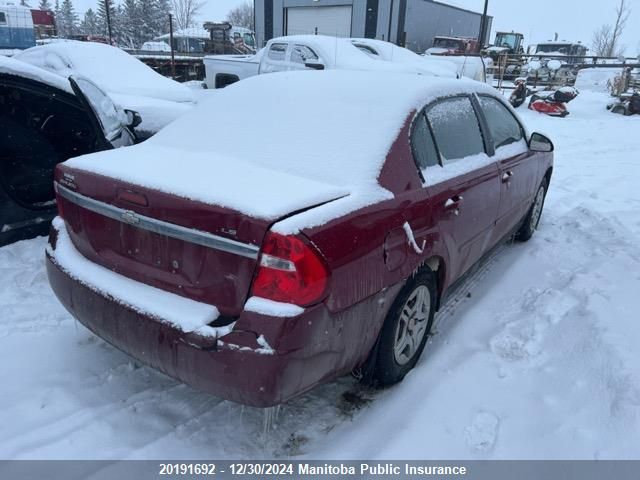 2006 Chevrolet Malibu Ls VIN: 1G1ZS51F26F294534 Lot: 20191692