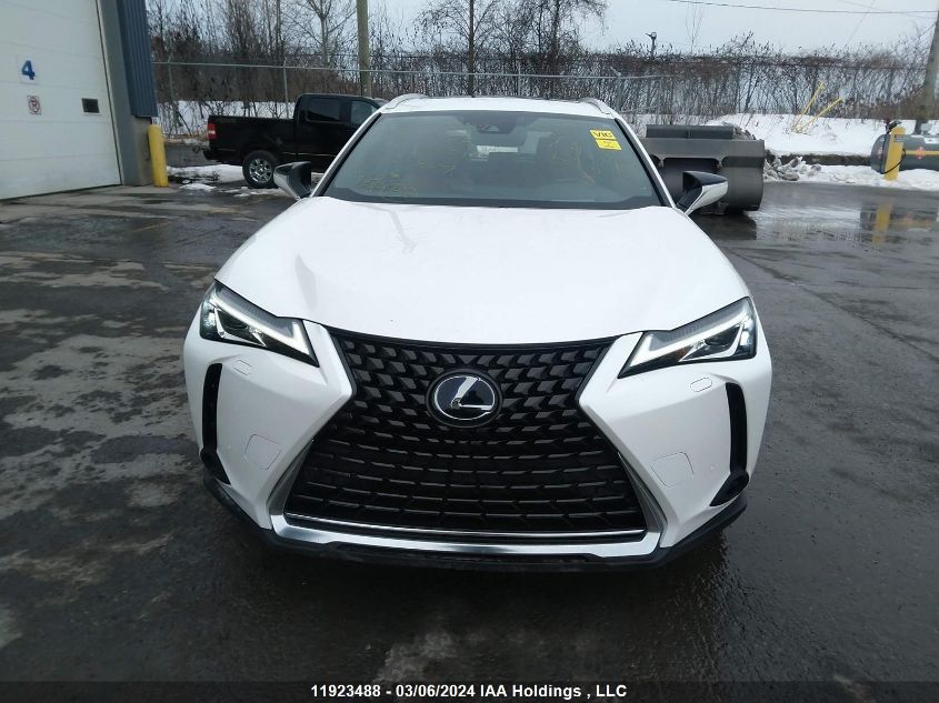 2020 Lexus Ux 250H VIN: JTHL9JBHXL2027449 Lot: 11923488