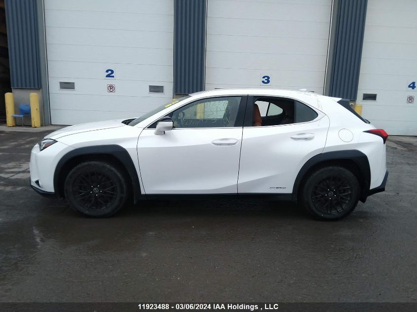 2020 Lexus Ux 250H VIN: JTHL9JBHXL2027449 Lot: 11923488