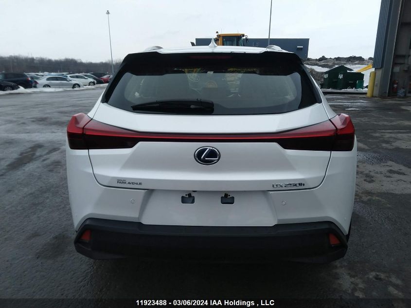 2020 Lexus Ux 250H VIN: JTHL9JBHXL2027449 Lot: 11923488