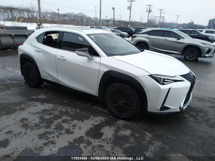 2020 Lexus Ux 250H VIN: JTHL9JBHXL2027449 Lot: 11923488