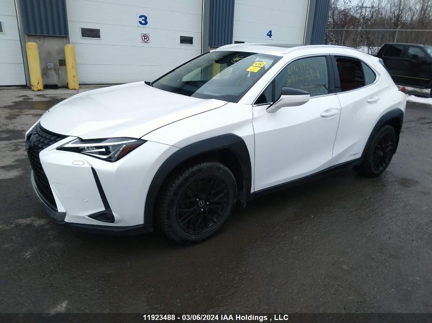 2020 Lexus Ux 250H VIN: JTHL9JBHXL2027449 Lot: 11923488