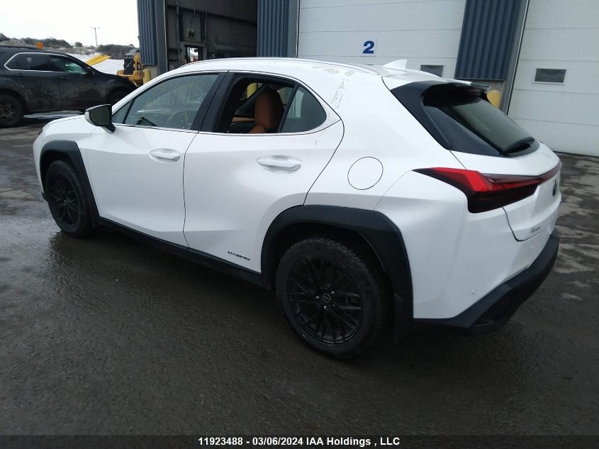 2020 Lexus Ux 250H VIN: JTHL9JBHXL2027449 Lot: 11923488