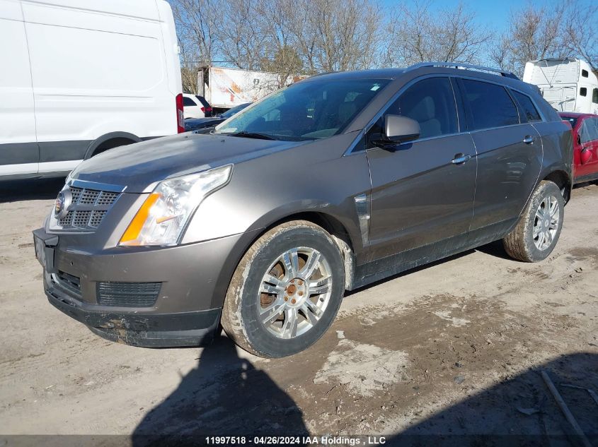 2011 Cadillac Srx Luxury Collection VIN: 3GYFNDEY2BS561842 Lot: 11997518