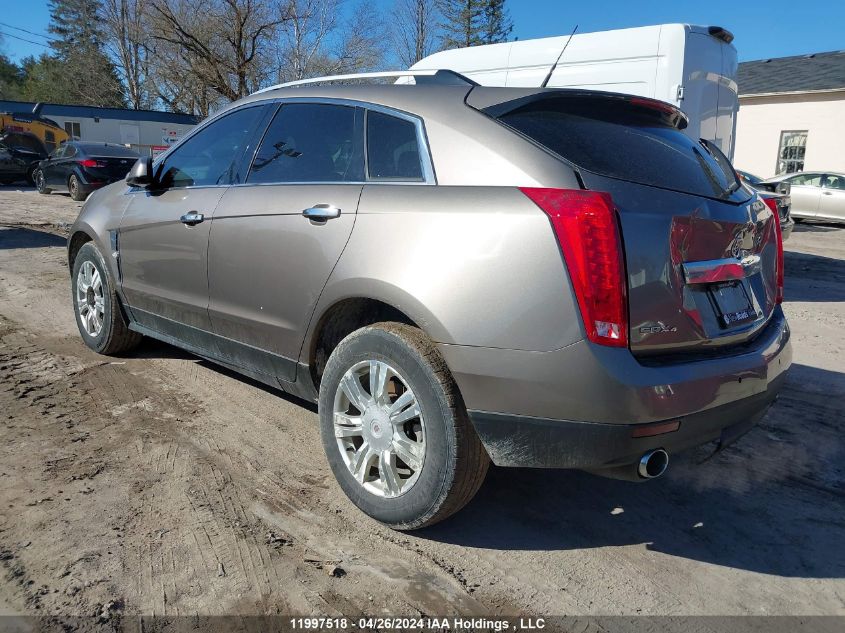 2011 Cadillac Srx Luxury Collection VIN: 3GYFNDEY2BS561842 Lot: 11997518