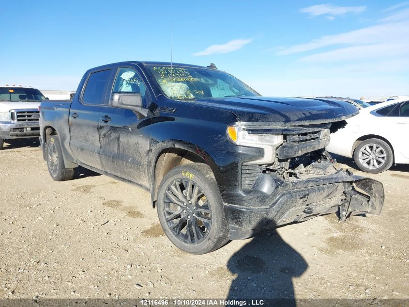 2024 Chevrolet Silverado 1500 VIN: 1GCUDEEDXRZ189103 Lot: 12116496