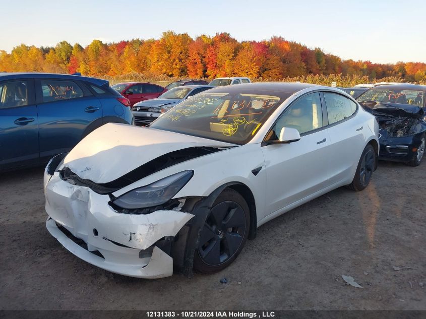 2023 Tesla Model 3 VIN: 5YJ3E1EA5PF410813 Lot: 12131383