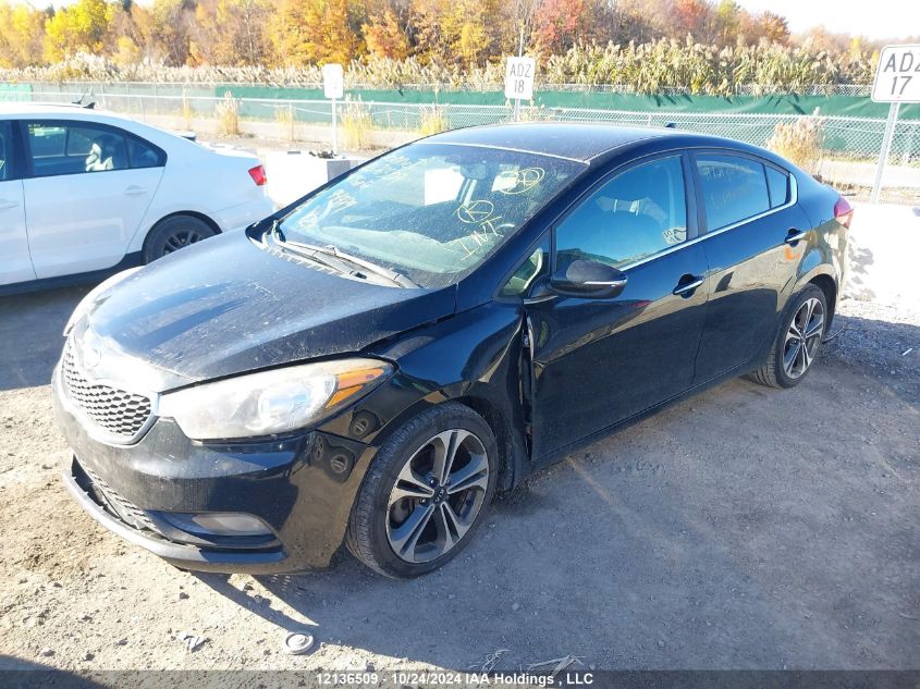 2014 Kia Forte VIN: KNAFX4A82E5194989 Lot: 12136509