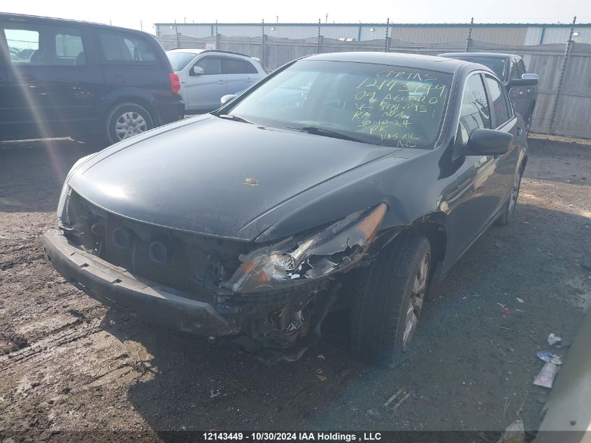 2009 Honda Accord Sedan VIN: 1HGCP26899A804095 Lot: 12143449