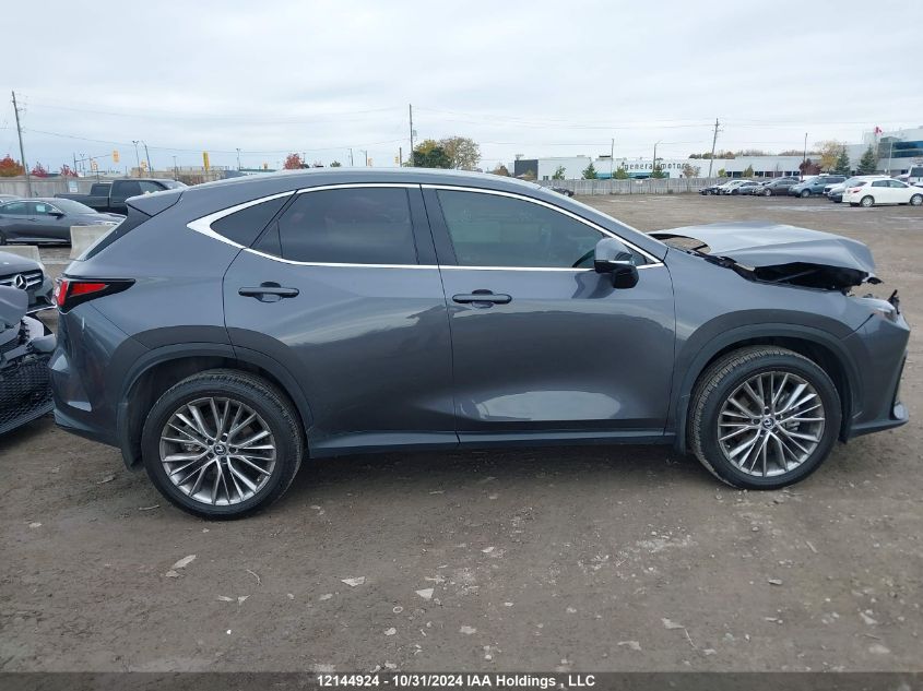 2022 Lexus Nx 350 VIN: 2T2GGCEZXNC013902 Lot: 12144924