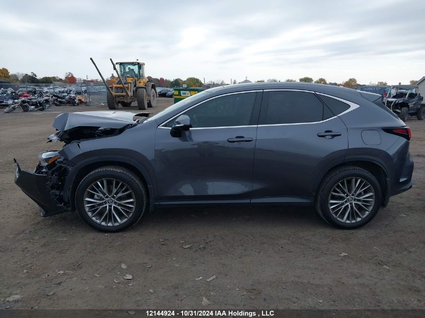 2022 Lexus Nx 350 VIN: 2T2GGCEZXNC013902 Lot: 12144924