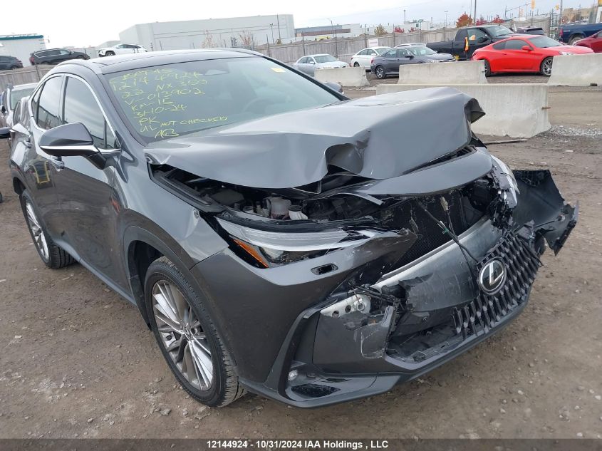 2022 Lexus Nx 350 VIN: 2T2GGCEZXNC013902 Lot: 12144924