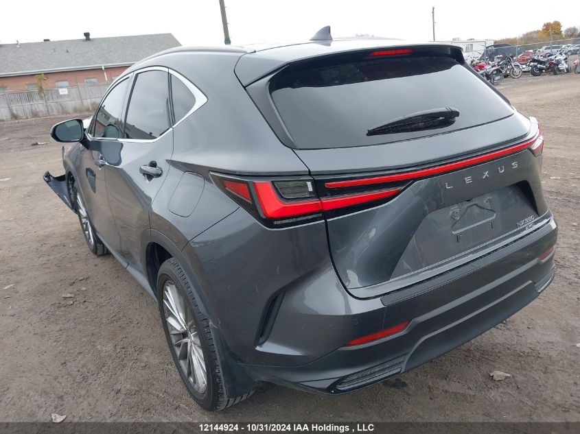 2022 Lexus Nx 350 VIN: 2T2GGCEZXNC013902 Lot: 12144924