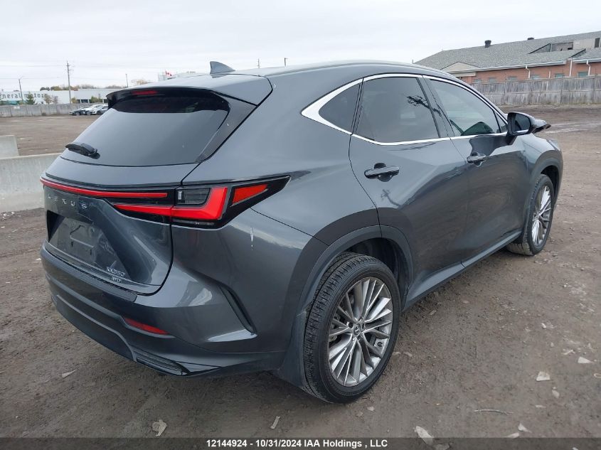 2022 Lexus Nx 350 VIN: 2T2GGCEZXNC013902 Lot: 12144924