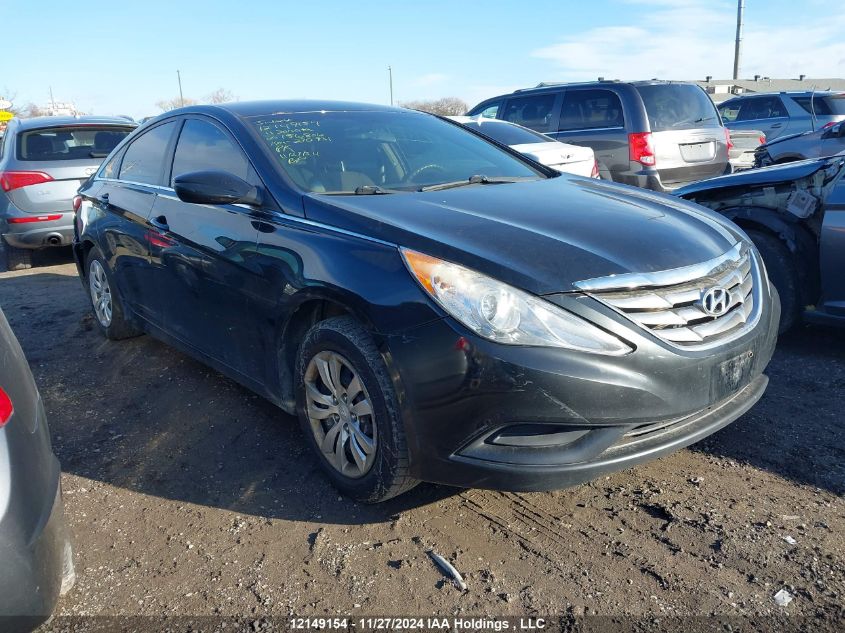 2011 Hyundai Sonata VIN: 5NPEB4AC2BH156806 Lot: 12149154