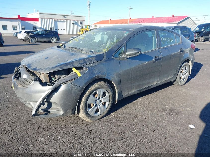 2014 Kia Forte Lx VIN: KNAFK4A63E5130196 Lot: 12155718