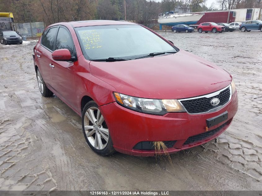 2011 Kia Forte VIN: KNAFU5A26B5323774 Lot: 12156163