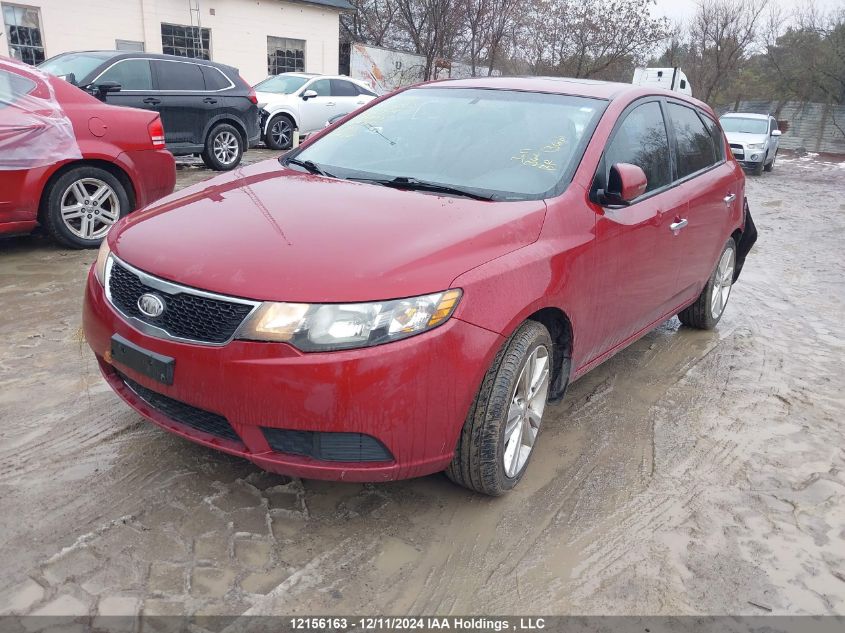 2011 Kia Forte VIN: KNAFU5A26B5323774 Lot: 12156163