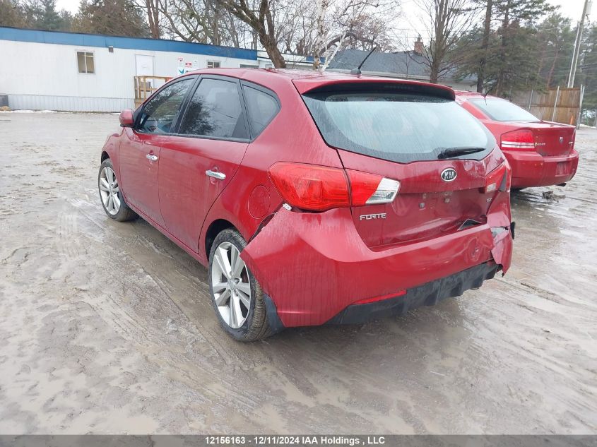 2011 Kia Forte VIN: KNAFU5A26B5323774 Lot: 12156163