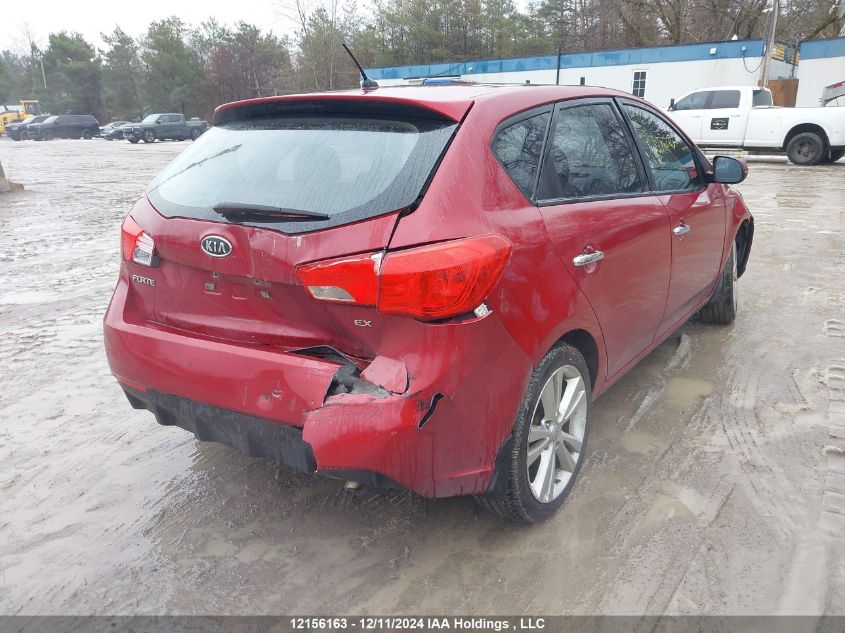 2011 Kia Forte VIN: KNAFU5A26B5323774 Lot: 12156163