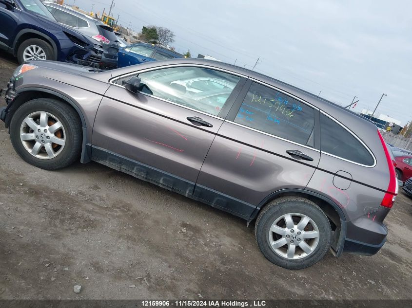 2009 Honda Cr-V Ex VIN: 5J6RE48589L810787 Lot: 12159906