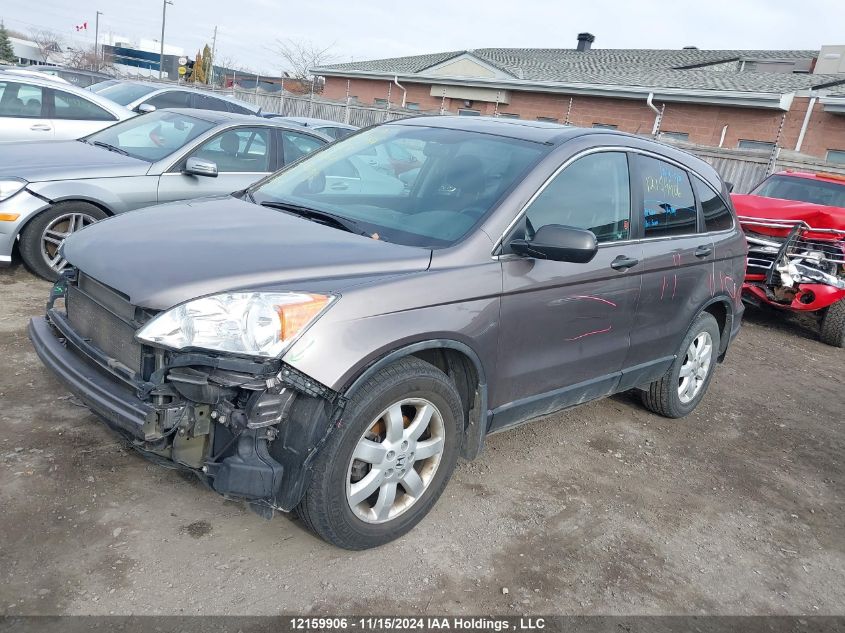 2009 Honda Cr-V Ex VIN: 5J6RE48589L810787 Lot: 12159906