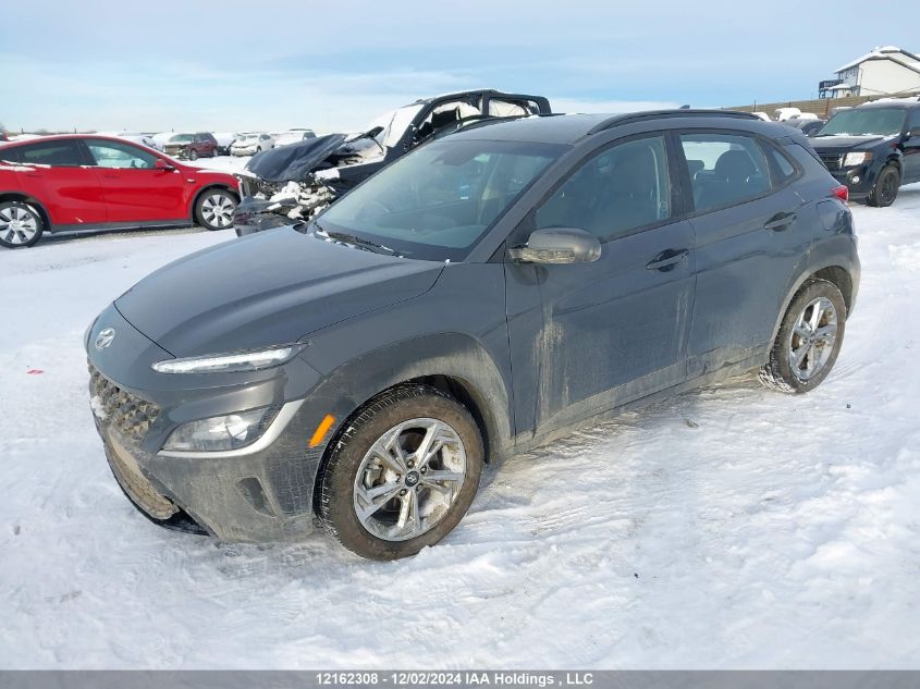 2023 Hyundai Kona Preferred Awd VIN: KM8K2CAB5PU004094 Lot: 12162308