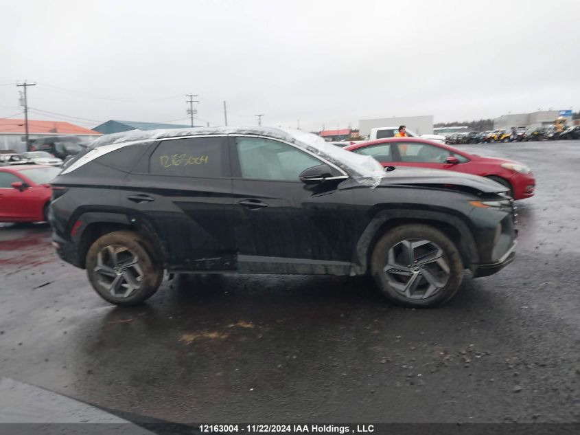 2023 Hyundai Tucson Luxury VIN: KM8JCCA12PU100409 Lot: 12163004