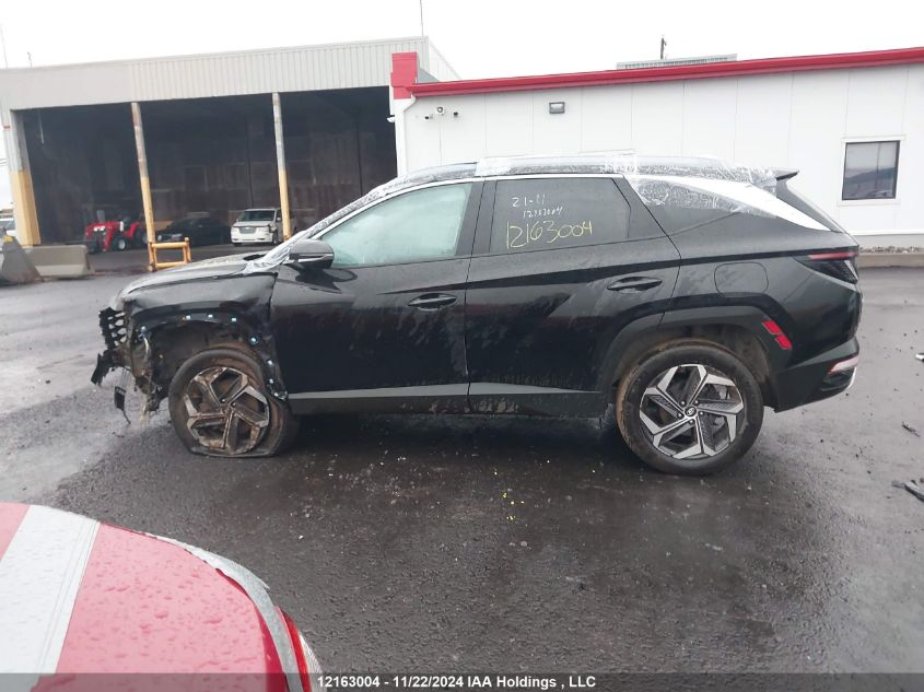 2023 Hyundai Tucson Luxury VIN: KM8JCCA12PU100409 Lot: 12163004