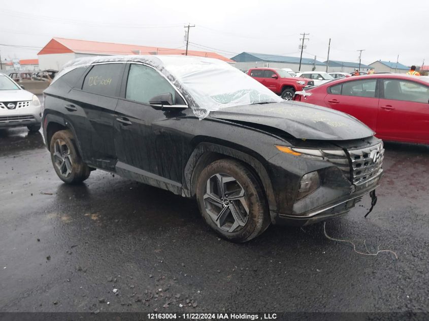 2023 Hyundai Tucson Luxury VIN: KM8JCCA12PU100409 Lot: 12163004