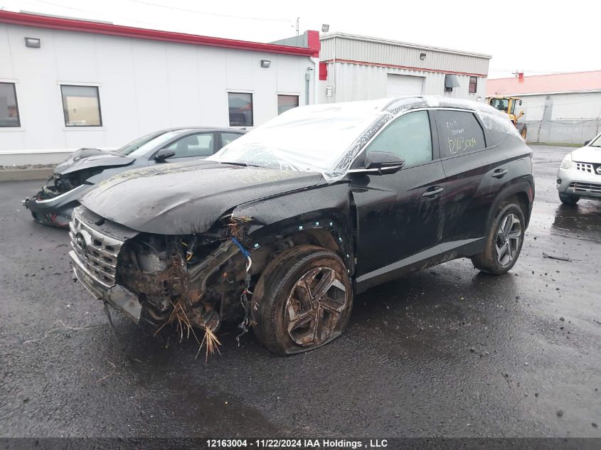 2023 Hyundai Tucson Luxury VIN: KM8JCCA12PU100409 Lot: 12163004