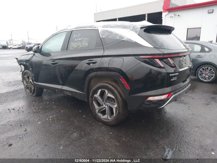 2023 Hyundai Tucson Luxury VIN: KM8JCCA12PU100409 Lot: 12163004