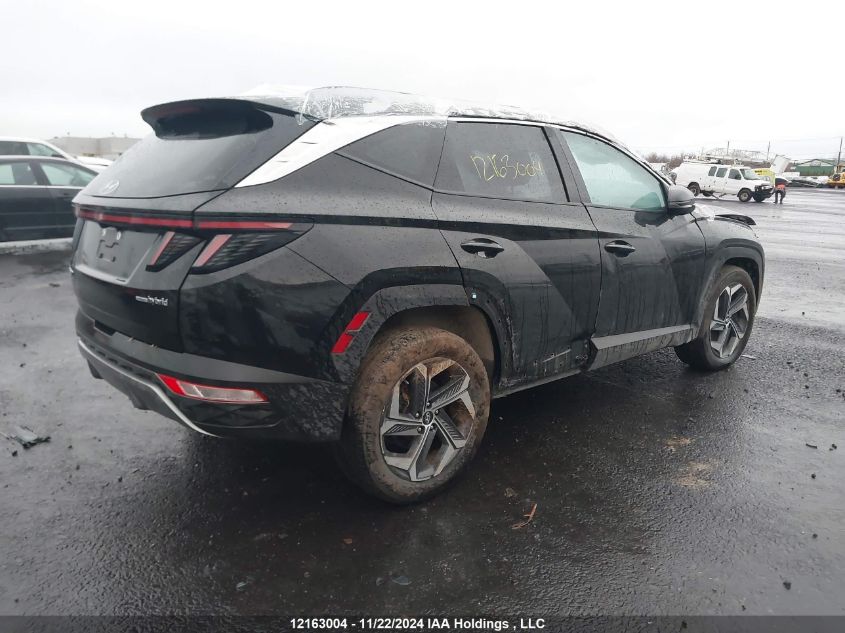 2023 Hyundai Tucson Luxury VIN: KM8JCCA12PU100409 Lot: 12163004